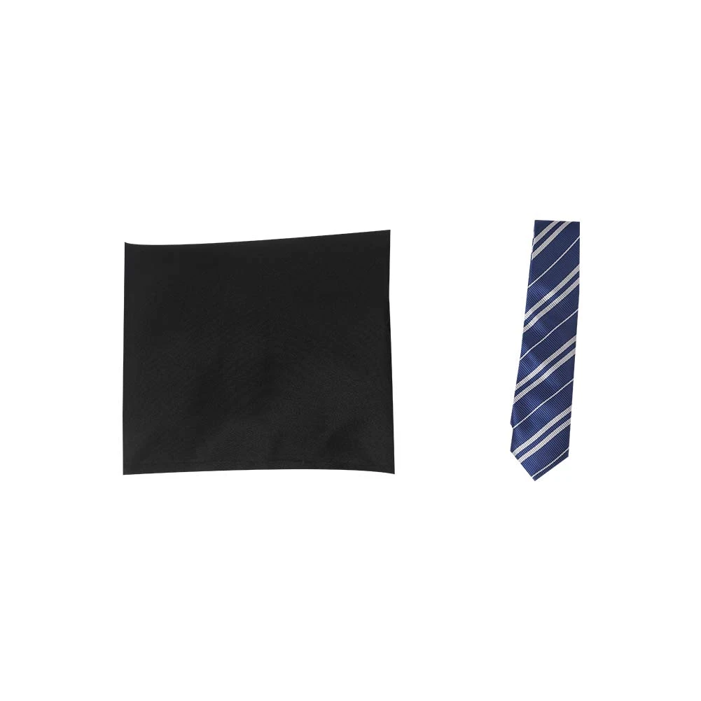 Adulte Hogwarts Legacy Ravenclaw Uniforme Scolaire Cosplay Costume 11 Adulte Hogwarts Legacy Ravenclaw Uniforme Scolaire Cosplay Costume – Image 9