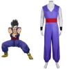 Dragon Ball Super Son Gohan Adulte Cosplay Costume