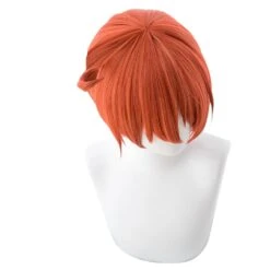 Cells At Work! Erythrocite Red Blood Cell Cosplay Perruque -Newcossky 4 1024x1024 2x c58ca566 6d86 4356 8d4e a6bf48b40e49