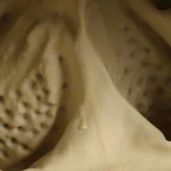 Stranger Things Masque Demogorgon Plante Cannibale Latex Accessoires -Newcossky 60054 7