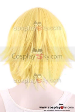 BlazBlue: Calamity Trigger Jin Kisaragi Cosplay Perruque -Newcossky blazblue calamity trigger jin kisaragi cosplay wig 6